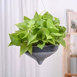 Ceramic Hanging Pot Cosmic Stone