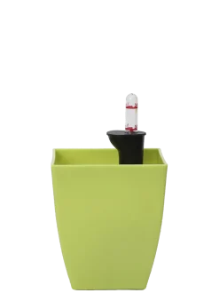 Chatura Self Watering Pots - Set of 5