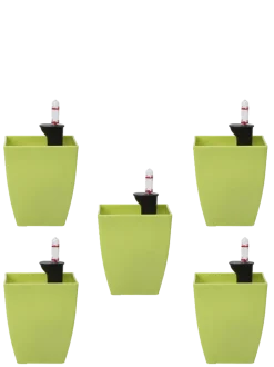 Chatura Self Watering Pots - Set of 5