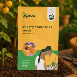 Cherry Tomatoes Seeds (Yellow)