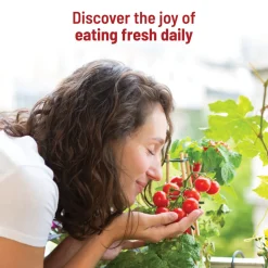 Cherry Tomato Grow Kit