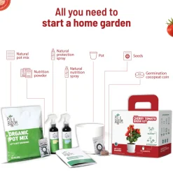 Cherry Tomato Grow Kit
