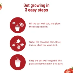 Cherry Tomato Grow Kit