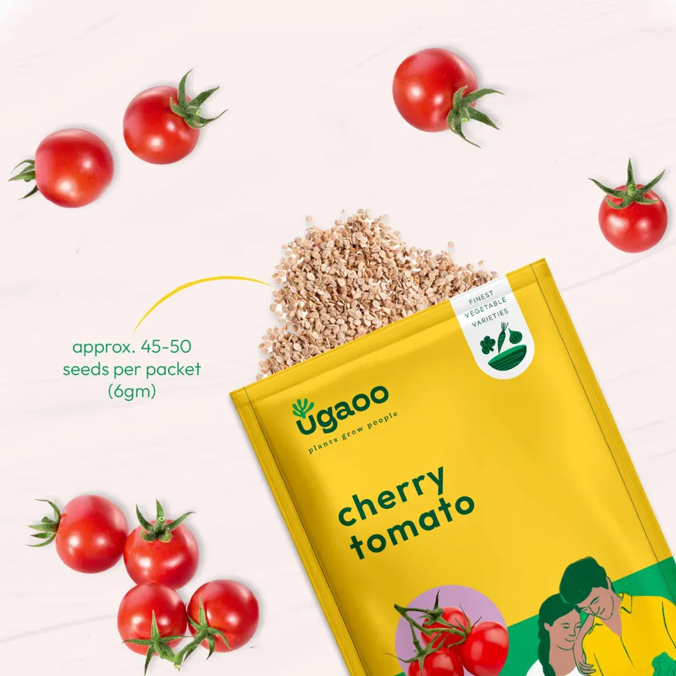 Cherry Tomato Seeds