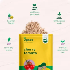 Cherry Tomato Seeds