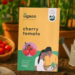 Cherry Tomato Seeds