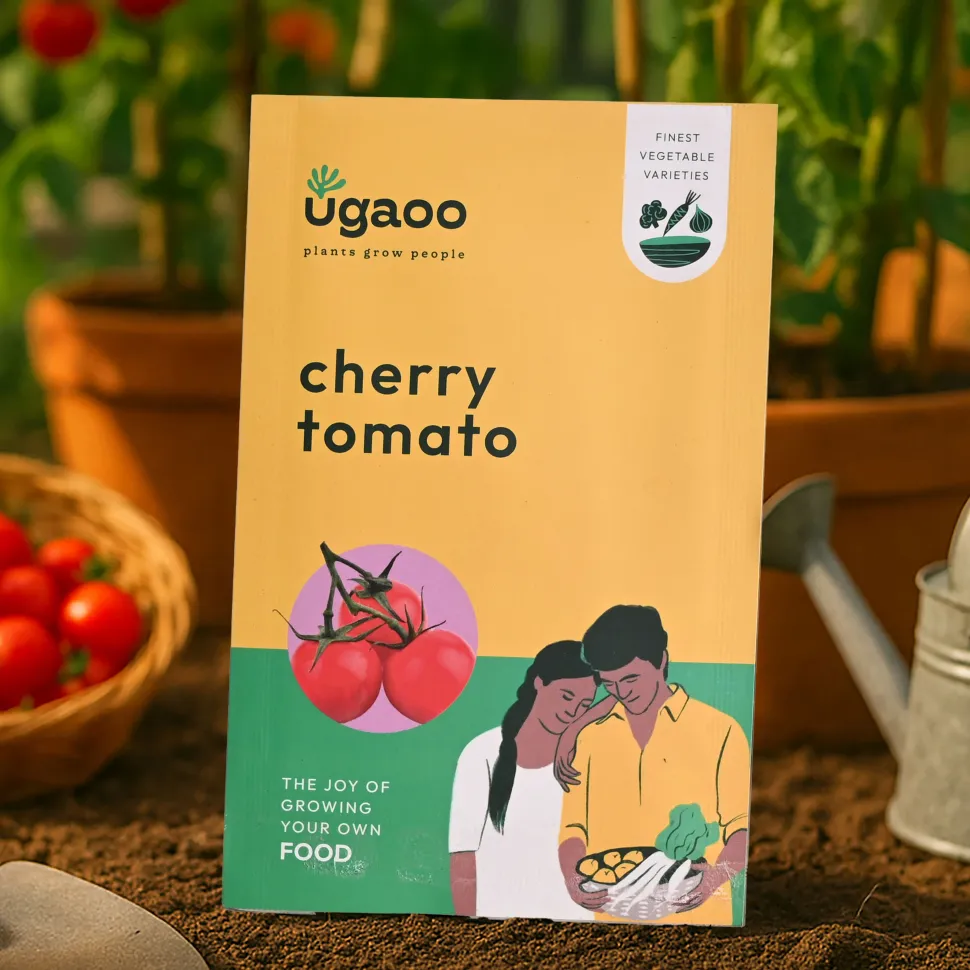 Cherry Tomato Seeds