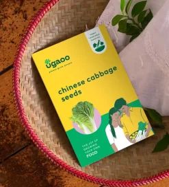 Chinese Cabbage Seeds