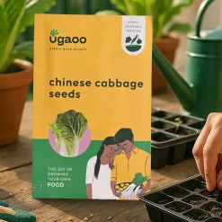 Chinese Cabbage Seeds