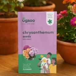 Chrysanthemum Mix Seeds