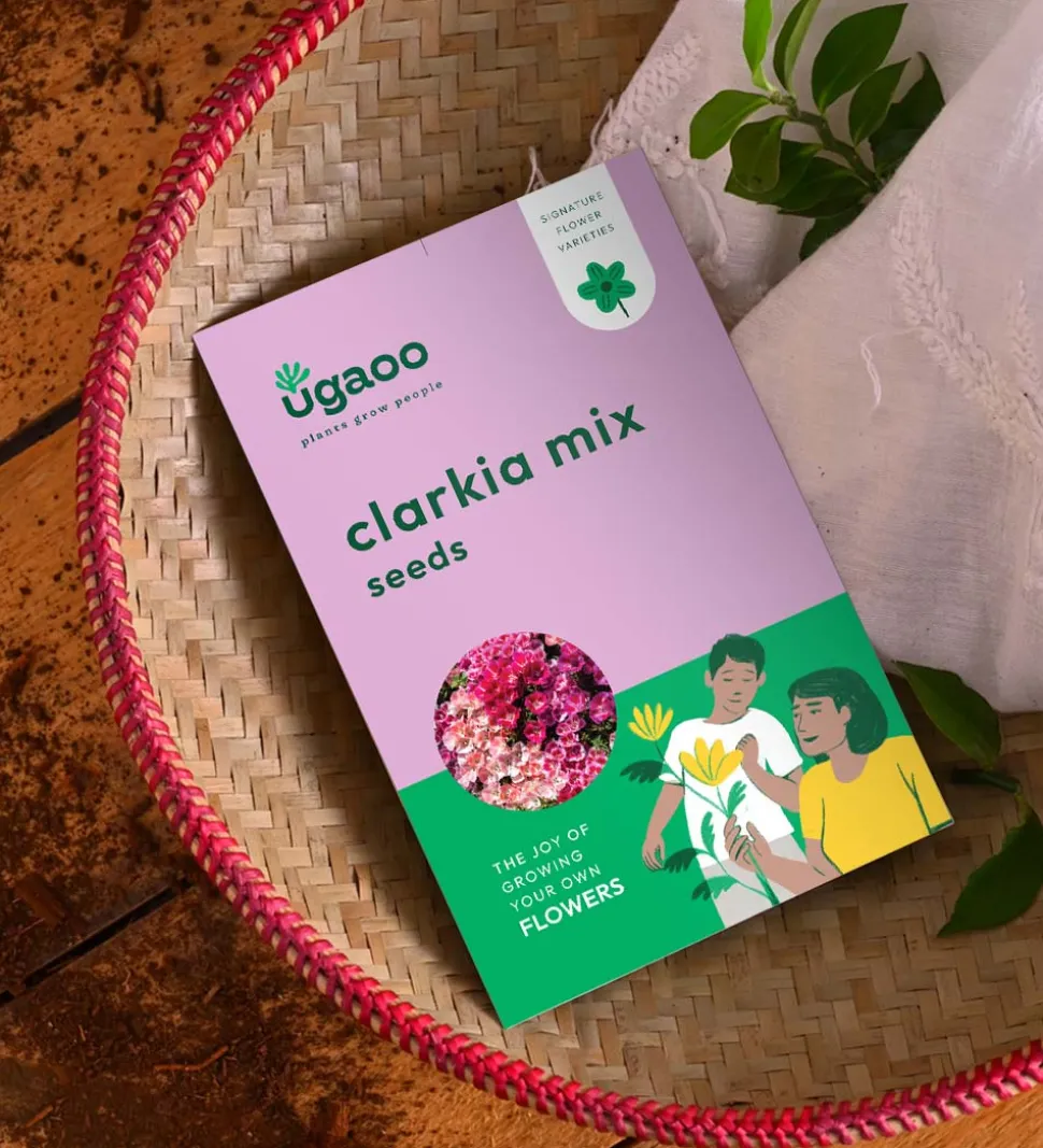 Clarkia Mix Seeds
