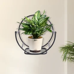 Concave Wall Mounting Planter