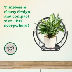 Concave Wall Mounting Planter