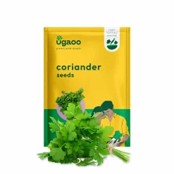 Coriander Seeds