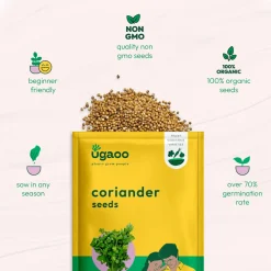 Coriander Seeds