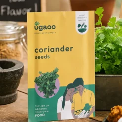 Coriander Seeds