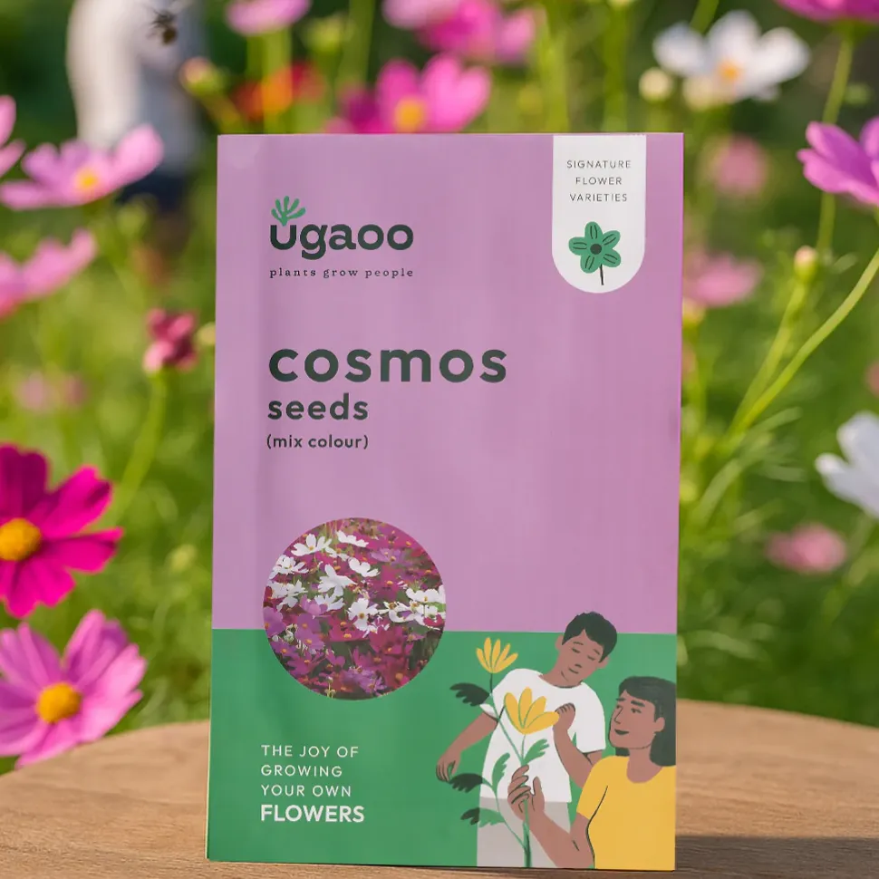 Cosmos Mix Seeds