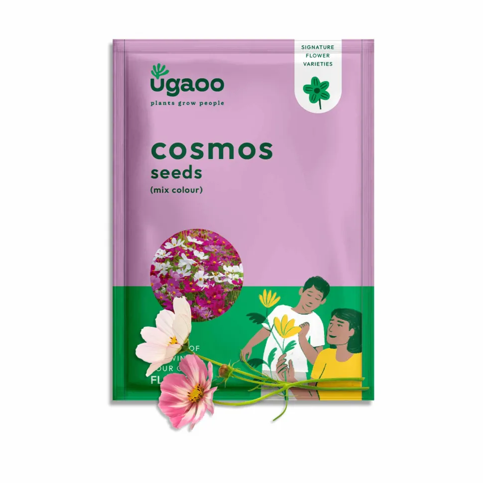 Cosmos Mix Seeds
