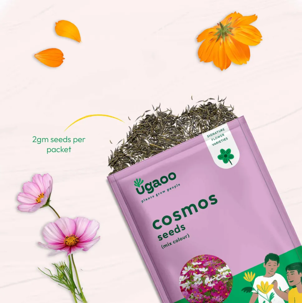 Cosmos Mix Seeds