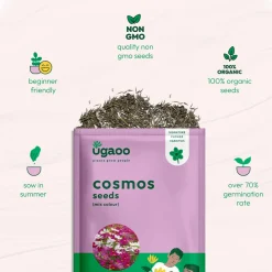 Cosmos Mix Seeds