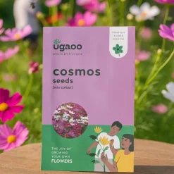 Cosmos Mix Seeds