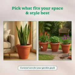 Cosmos Plastic Pot