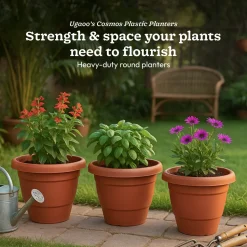 Cosmos Plastic Pot