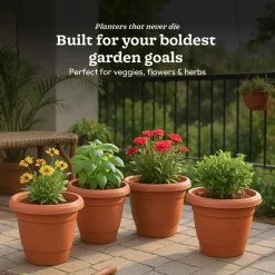 Cosmos Plastic Pot
