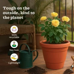 Cosmos Plastic Pot
