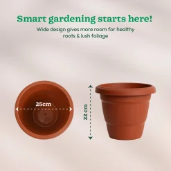 Cosmos Plastic Pot