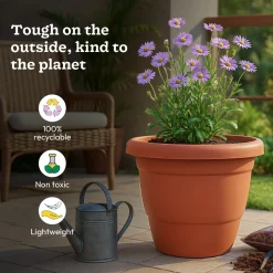 Cosmos Plastic Pot