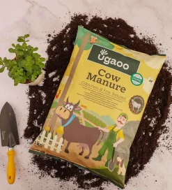 Cow Manure