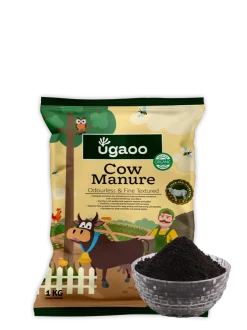 Cow Manure