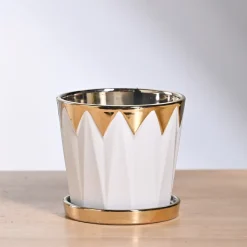 Crown ceramic pot - 5 inch