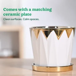 Crown ceramic pot - 5 inch