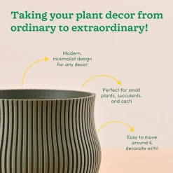 Crown Planter