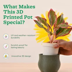 Crown Planter