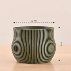 Crown Planter