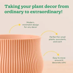 Crown Planter