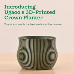 Crown Planter