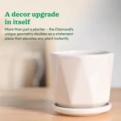 Diamond Ceramic Pot