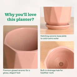 Diamond Ceramic Pot