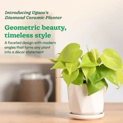 Diamond Ceramic Pot