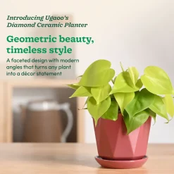 Diamond Ceramic Pot