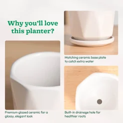 Diamond Ceramic Pot