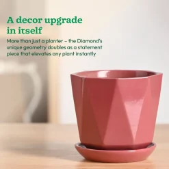 Diamond Ceramic Pot