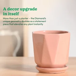 Diamond Ceramic Pot
