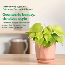 Diamond Ceramic Pot