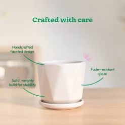 Diamond Ceramic Pot