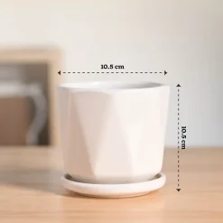 Diamond Ceramic Pot